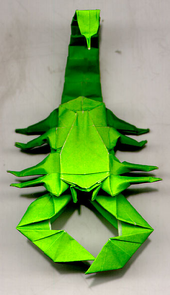 IMAGE(http://www.paperfolding.com/images/insects/scorpion.jpg)